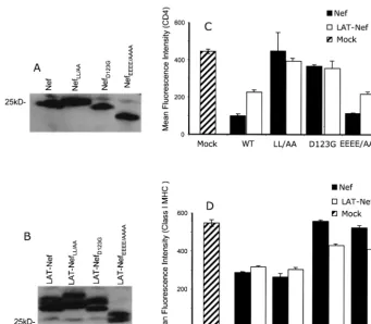 FIG. 6. Analysis of CD4 and class I MHC downmodulation by LAT-Nef and Nef containing mutations that affect these functions