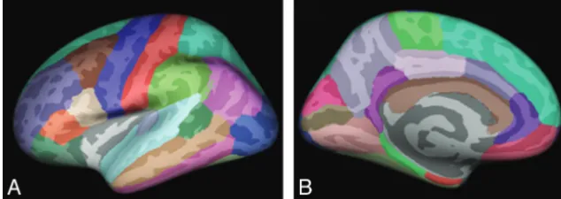 Fig 1. Regional labeling of neocortical structures as provided by FreeSurfer35 on lateral (A) and medial (B) views of the inflated brain.