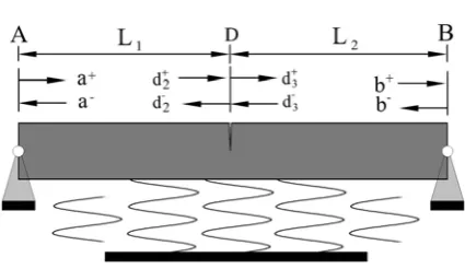 Figure 6. Cracked simply supported beam 