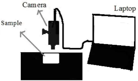 Figure 1. Wicking measurement using image analysis. 