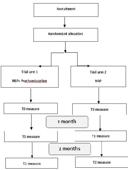 Figure 1: Flow of participants during the conduct  of the trial  