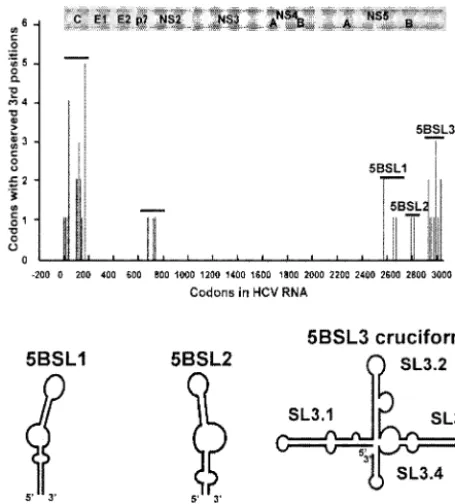 FIG. 1. Locations of codons with highly conserved third positionsand diagrams of predicted RNA secondary structures in the NS5B