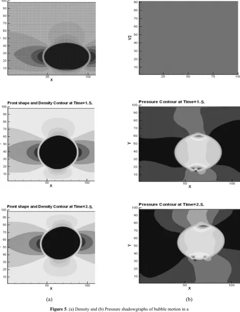 Figure 5. (a) Density and (b) Pressure shadowgraphs of bubble motion in a  quiescent liquid under zero gravity condition (case 3)