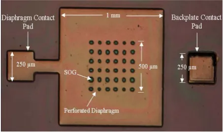 Figure 3. Optical microscopy top view of the microphone.  