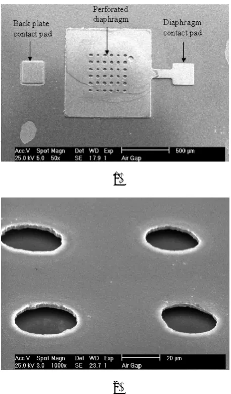 Figure 7. SEM images of released membrane structure. 