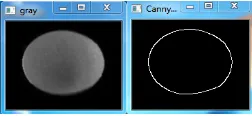 Figure 4. (a) Grayed image. Figure 4. (b) Canny Edge detection. 