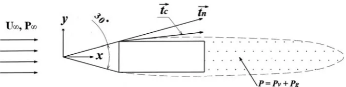 Figure 14. Supercavitation around the 30˚ model. 