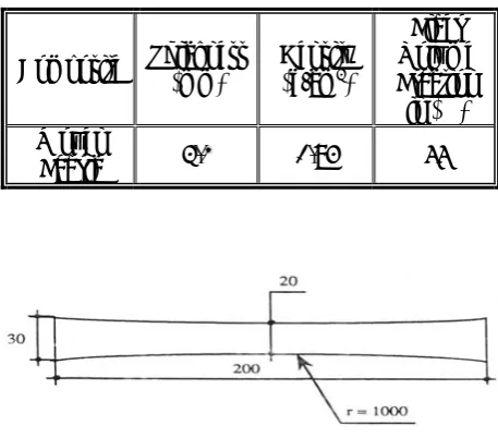 Figure 1. Profiled specimen with a radius of 1000 mm. 