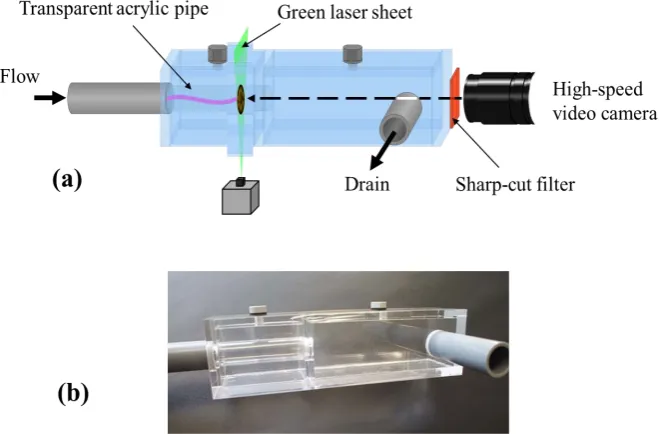 Figure 6. Flow visualization section: (a) schematic diagram: (b) photo. 