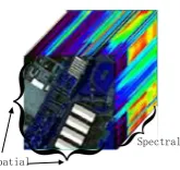 Figure 1. An example of hyperspectral data cube.  