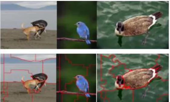 Figure 1. Spectral clustering segmentation. 