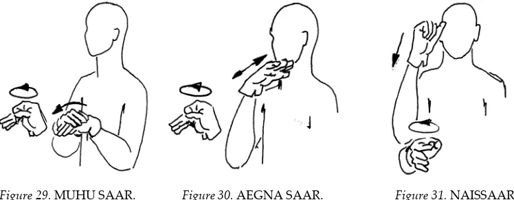 Figure 29. MUhU SaaR.            Figure 30. aEgNa SaaR. 