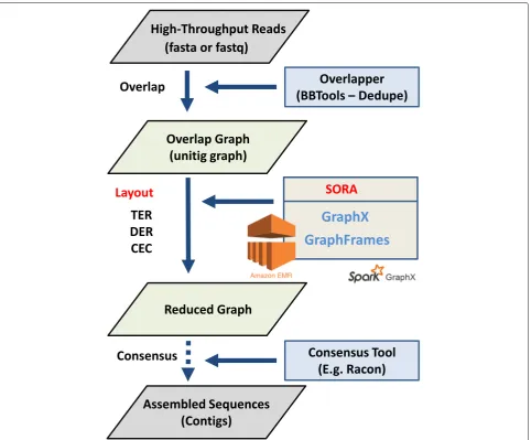 Fig. 2 Overview of analysis pipeline using SORA. SORA pipeline for genome assembly