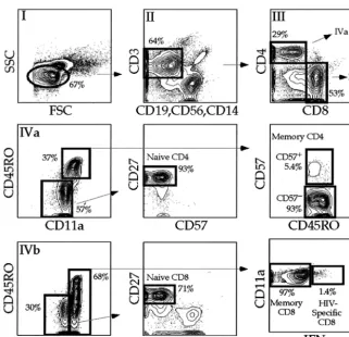 TABLE 2. T-cell phenotypes