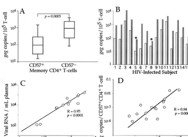 FIG. 2. Postsort analysis of naïve CD4�lymphocytes because cellular debris results from high-speed sorting