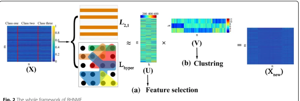 Fig. 2 The whole framework of RHNMF