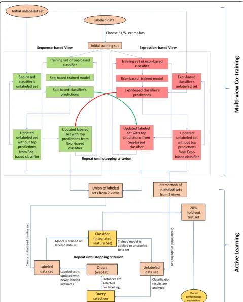 Fig. 1 Illustration of proposed two-stage integrated semi-supervised ML classification pipeline comprising both multi-view co-training (upper) andactive learning (lower)