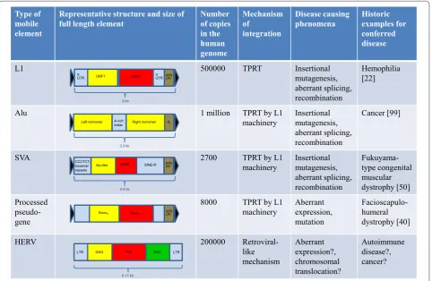 Figure 1. Types of retroelements implicated in human disease. ENV, envelope; GAG, group specific antigen; HERV, human endogenous retrovirus; kb, kilobase; LTR, long terminal repeat; ORF, open reading frame; POL, polymerase; SINE, short interspersed element