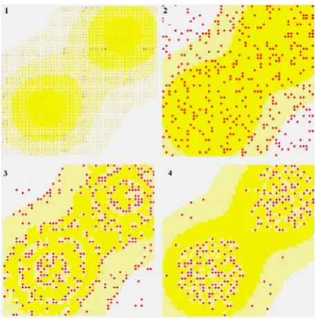 Figure 1. An artificial society on sugarscape: societal evolution from a random initial distribution of agents