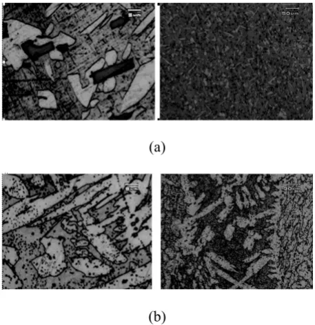 Figure 8. Microstructures on transverse sections of (a)wrought material (b) cast material