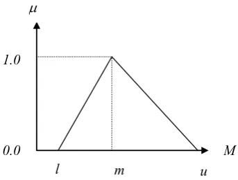 Figure 2. A triangular fuzzy number. 