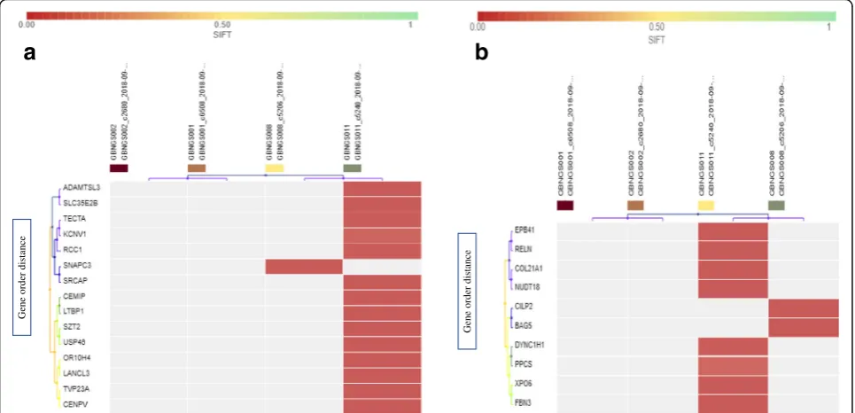 Fig. 3 Heat map of SNP variant impacts.Worse functional impact SIFT score ranges from 0.00 represents a deleterious effect in genes to 1 represents tolerated effect in genes