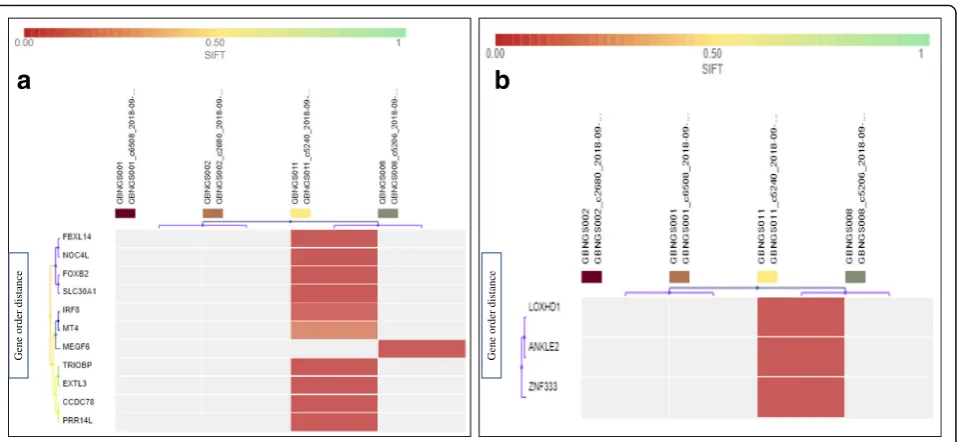 Fig. 4 Heat map of MNV variant impacts.Worse functional impact SIFT score ranges from 0.00 represents a deleterious effect in genes to 1 represents tolerated effect in genes