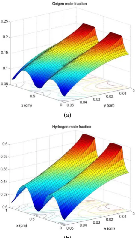Figure 8. Reactant mole fraction in gas diffusion layer with consideration of compression effect on porosity of GDL, (a) Cathode and (b) Anode side of cell