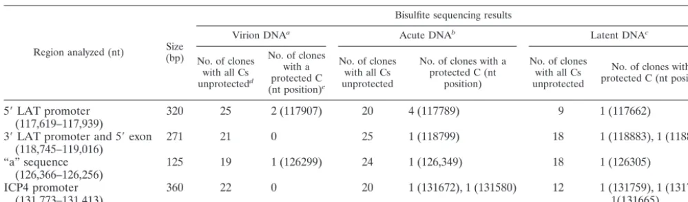 TABLE 2. Summary of bisulﬁte sequence analysis of the targeted RL and RS regions of the HSV-1 genome