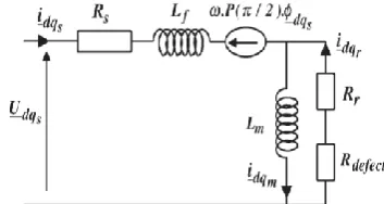 Figure 1.  The model of induction motor with faulty rotor [14] 