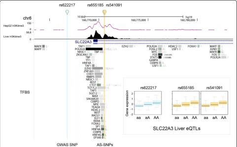 Fig. 2 UCSC Genome browser view of the AS-SNPs rs655185 and rs541091 (yellow) which are in high LD with the T2D-associated GWAS SNPrs622217 (cyan)