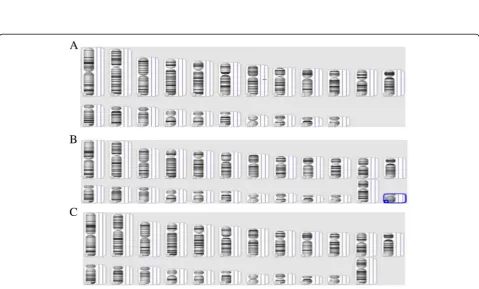 Fig. 1 NIPT and CMA results for case 22 and karyotype results for the parents of case 22