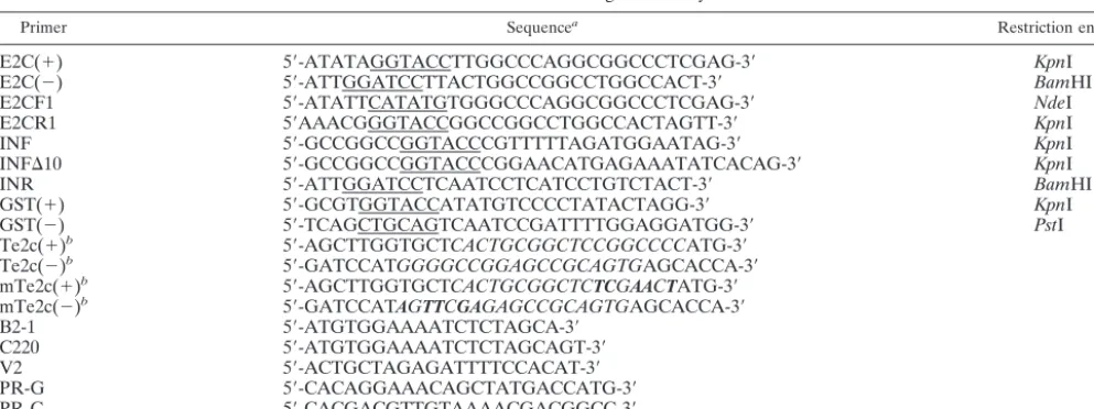 TABLE 1. DNA sequences of PCR primers and oligonucleotides used in construction of fusion proteins andDNA substrates for integration assays