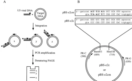 FIG. 4. PCR-based assay for determining distribution and preference of integration sites
