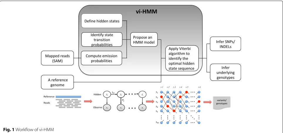 Fig. 1 Workflow of vi-HMM
