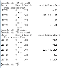 Figure 1. Checking the Nginx port. 