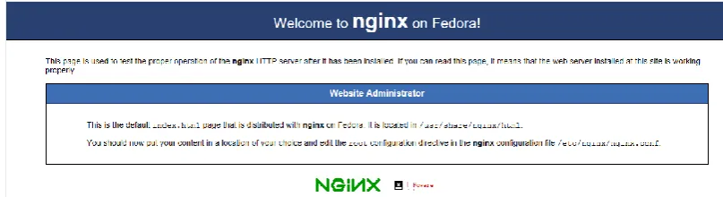 Figure 2. Ability to access the server. 