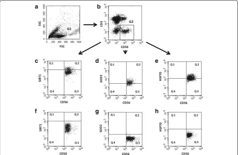 Fig. 1 Gating strategy for flow cytometric analyses of NK cells. a Forward scatter (FSC) and side scatter (SSC) characteristics of PBMC populationwith gated lymphocytes (G1)