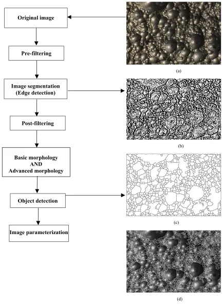 Figure 2. Block diagram image analysis: (a) original image, (b) segmented image, (c) morphology prediction of bubbles