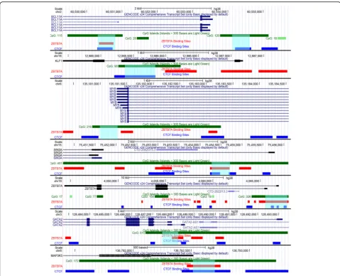 Fig. 1 Epigenetic features of promoter regions of genes analyzed in this study. The promoter regions and sequence features ofZBTB7AZBTB7Av.24 (exons are represented as boxes and introns as lines with arrows indicating the 5 BCL11A, KLF1, MYB, SIN3A,, GATA2