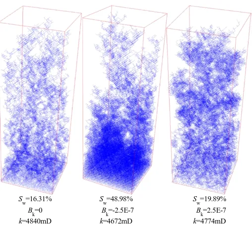 Figure 5. porous medium dynamic network simulation result  (σ/<r>=1.05, z=6, θ=40°). 