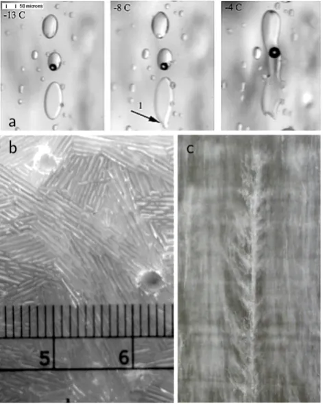 Fig. 3. (a) Warming sequence showing changes in ice structure atmerged brine inclusions, and the three large inclusions have mergedin the third panel