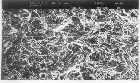 Figure 7. Microstructure of Alloy 4 (Fe-2%Cu-0.75%C-0.35%MnS). 