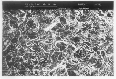 Figure 9. Fracture surface of Alloy 2 in tension test. 