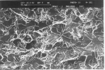 Figure 10. Fracture surface of Alloy 2.  