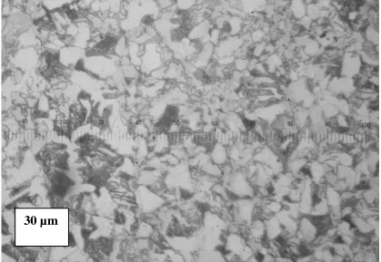 Figure 6. Microstructure of Alloy 1 (Fe-2%Cu-0.5%C). 