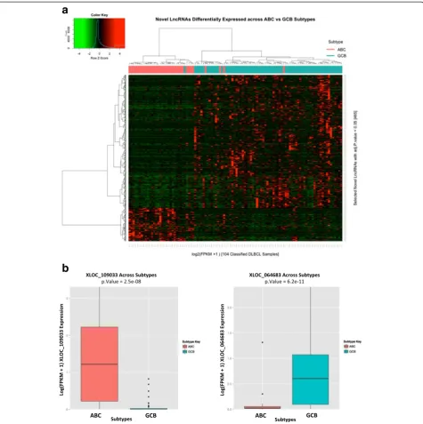 Fig. 5 Novel DLBCL lncRNAs are frequently DLBCL subtype specific.(adjusted a Heatmap showing overall differential expression for the significantlydifferentially expressed lncRNAs (n = 465) across 104 ABC and GCB classified samples, respectively