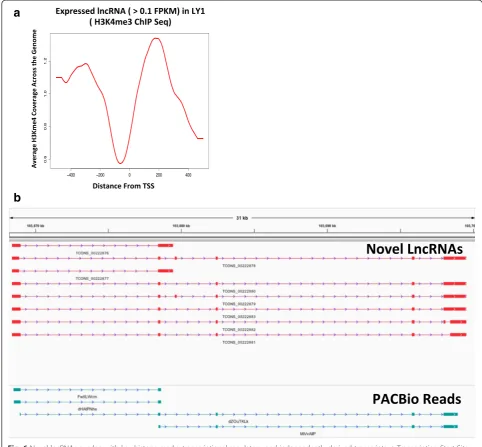 Fig. 6 Novel lncRNAs overlap with key histone marks, transcriptional regulators, and independently derived transcripts.independent PacBio-derived transcript from ( a Transcription Start Siteplot showing average H3K4me3 read coverage across the entire genom