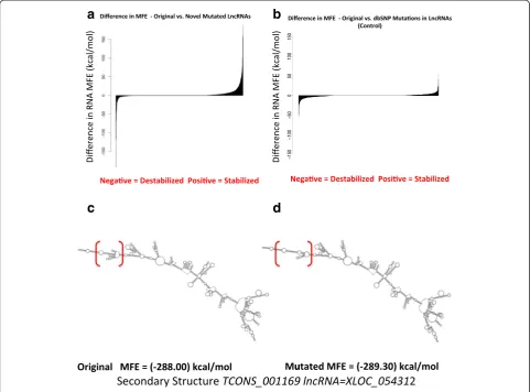 Fig. 9 Mutation analysis suggests that mutations in lncRNAs stabilize their structure