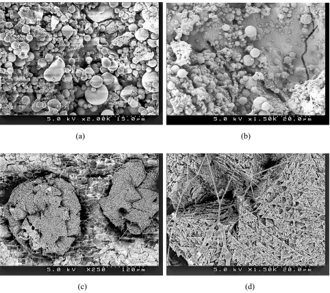 Figure 1. The SEM micrographs of the surface of the plasma sprayed HA sample before (a) and after 2 days (b) and 21 days (c,d) soaking in SBF at 37°C .SEM micrographs obtained at various magnitudes
